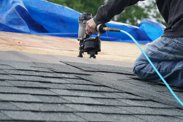Best Roof Maintenance Services  in Meade, KS